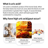 2025 URIT-10 Uric Acid Test Strips At Home 25 Second Fast Result